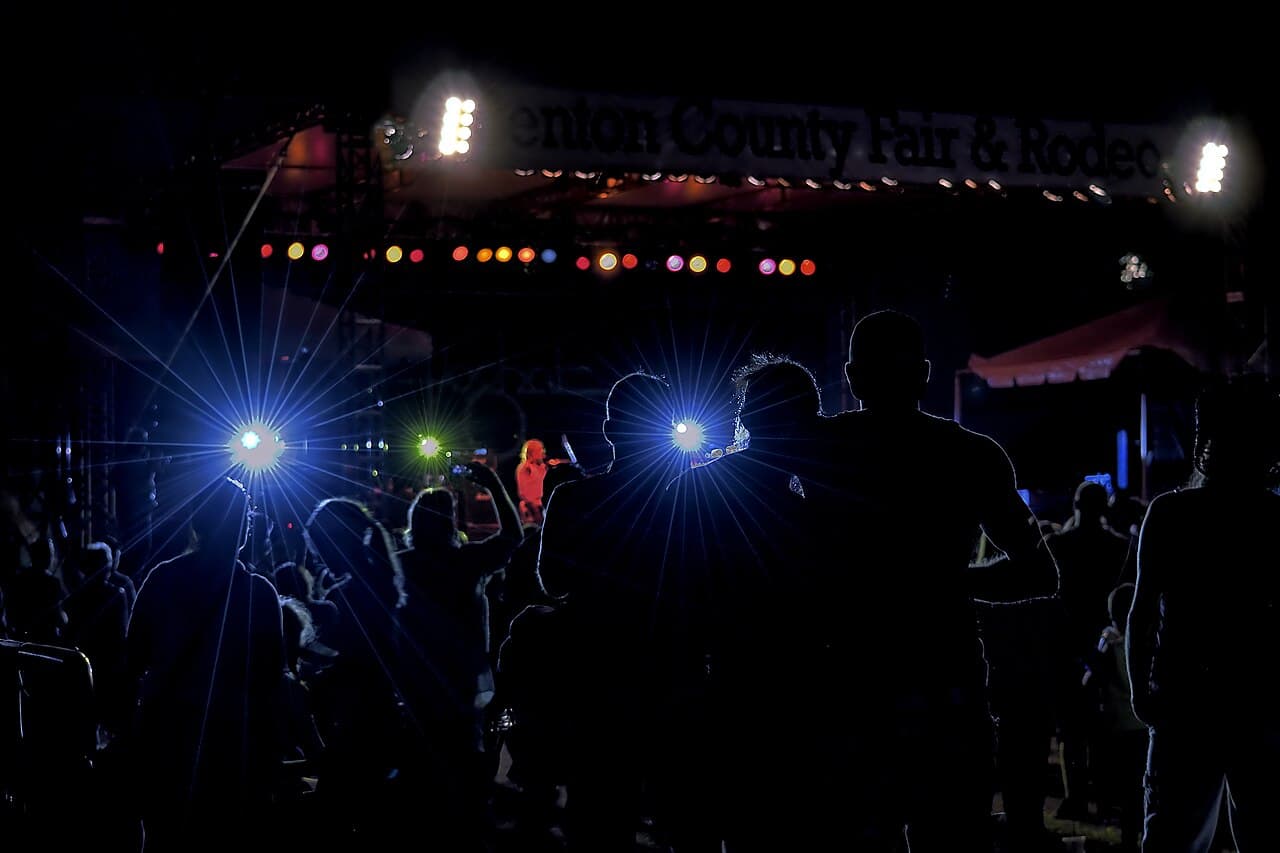 Photo d’illustration musicale : public en silhouettes devant une scène de concert éclairée en bleu en juillet 2015
