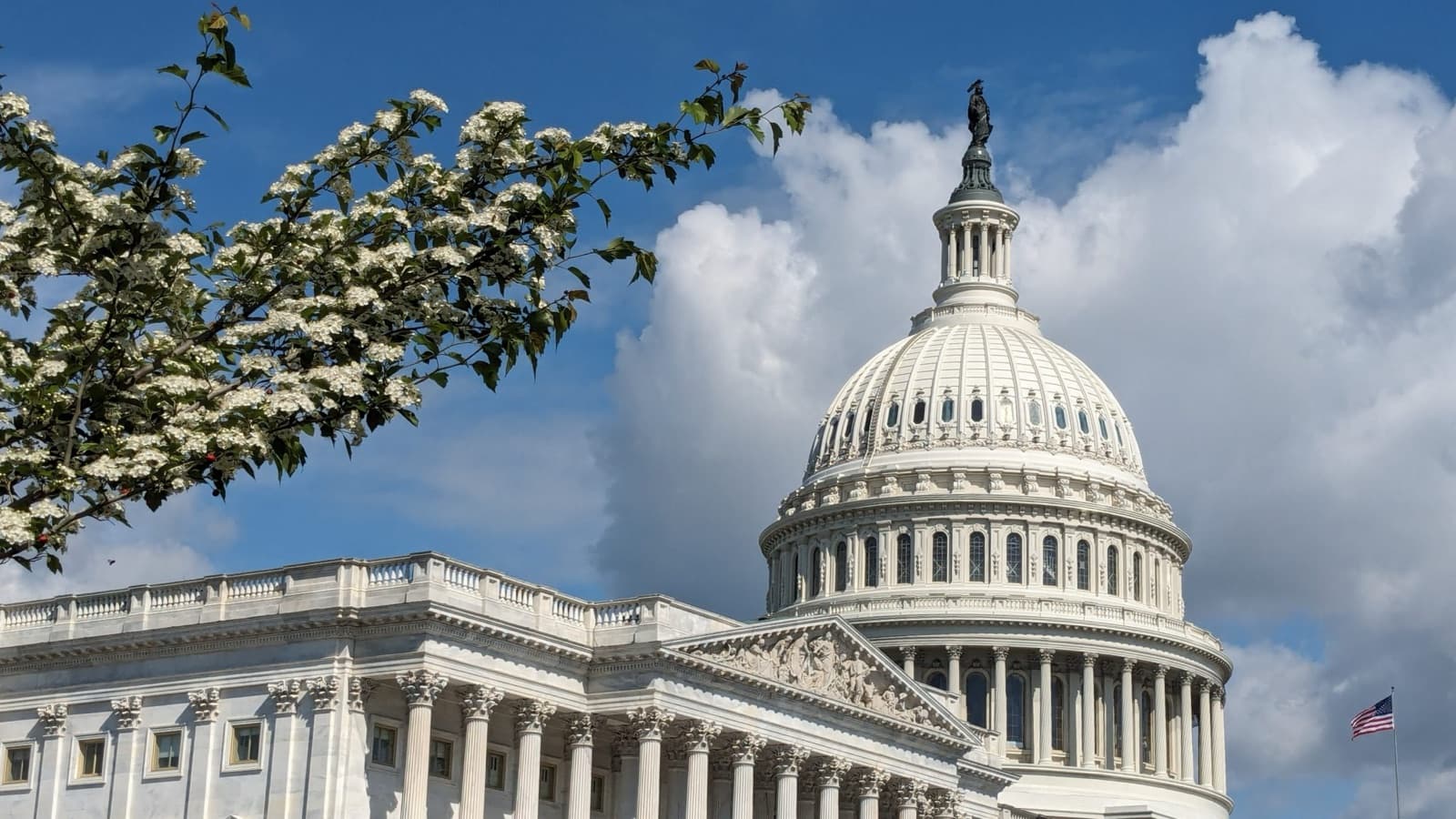 Le dôme du Capitole des États-Unis à Washington, sous un ciel bleu