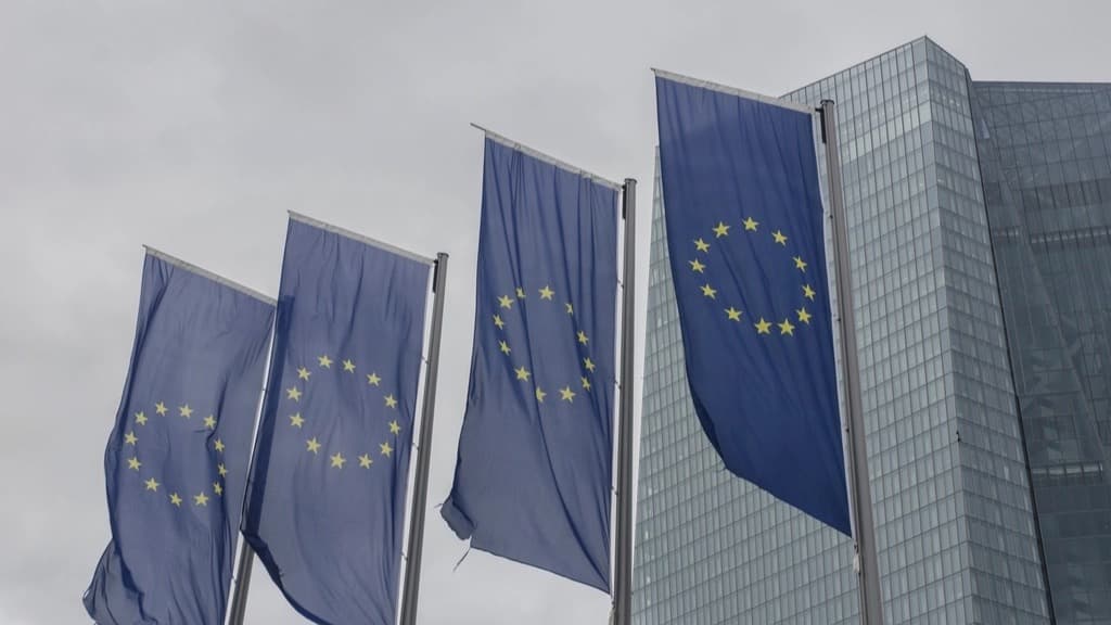 Des drapeaux de l'Union européenne devant un bâtiment